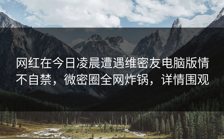 网红在今日凌晨遭遇维密友电脑版情不自禁，微密圈全网炸锅，详情围观